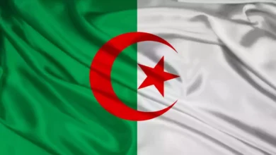 نتائج شهادة التعليم المتوسط