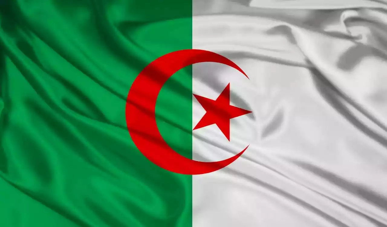 نتائج شهادة التعليم المتوسط