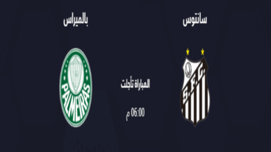 موعد مباراة سانتوس و بالميراس