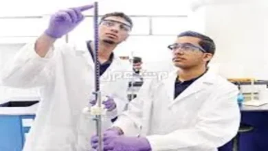 مواعيد التقديم في الجامعات السعودية 2025 حسب المناطق