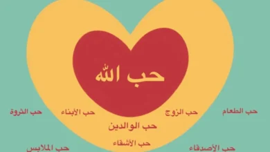 الحب ليس مصادفة بل قرار واعٍ