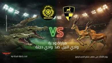مباراة وادى النيل ووادى دجلة