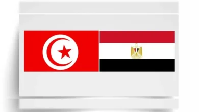 من هو الحارس الأساسي المتوقع لتونس ضد مصر؟