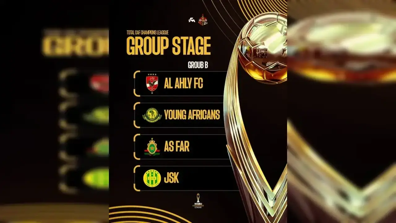 مجموعة الأهلي في أفريقيا