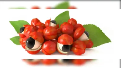 فوائد عشبة غوارانا